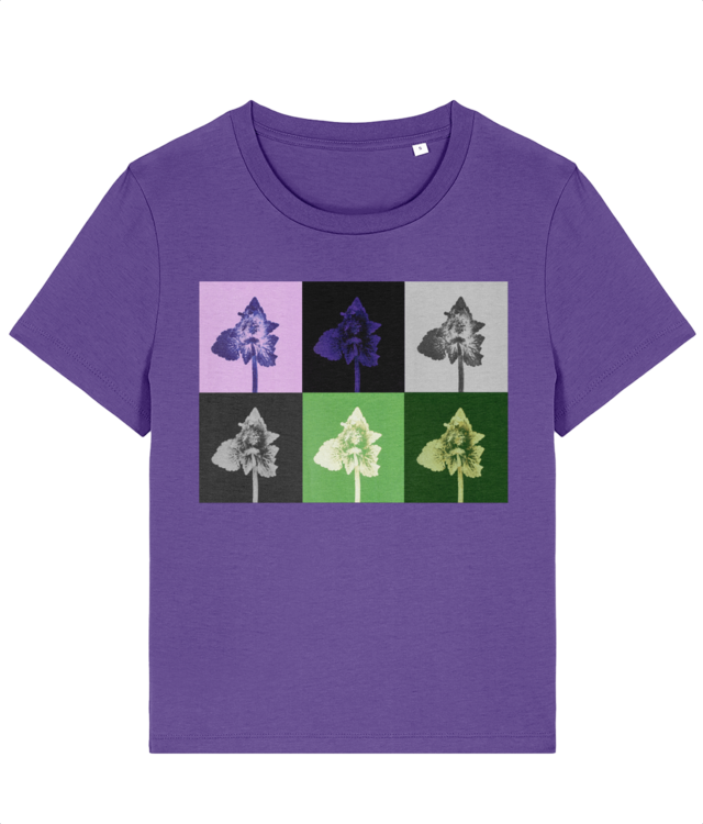 Lamium purpureum puzzle| Povești din grădină Stella Muser STTW172