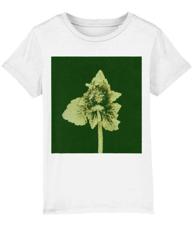 Impresii botanice | Lamium purpureum v3  Mini Creator 2.0