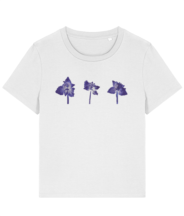 Impresii Botanice | Lamium purpureum trio v1 Stella Muser STTW172