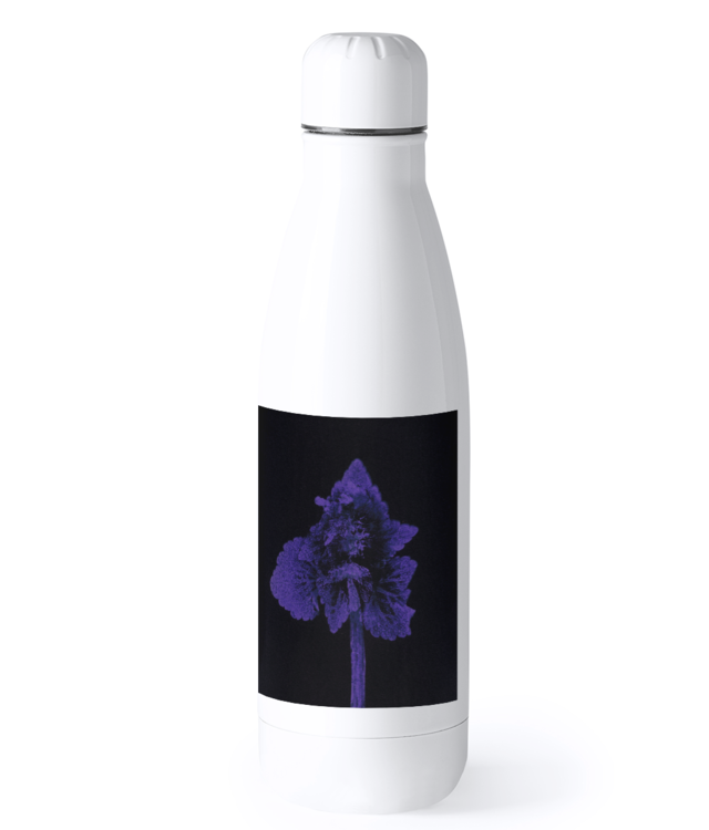 Impresii botanice | Lamium purpureum v1  Bidon Termic din Oțel Inoxidabil