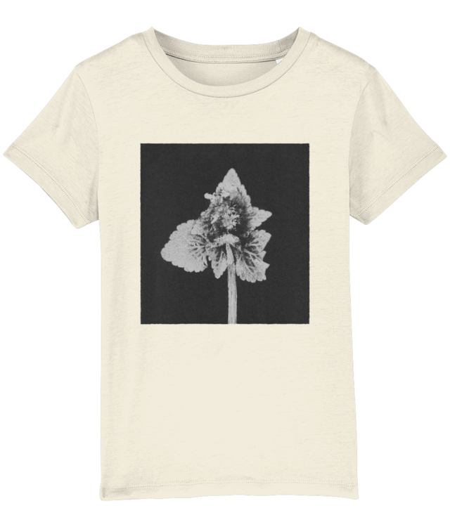 Impresii botanice | Lamium purpureum v5  Mini Creator 2.0