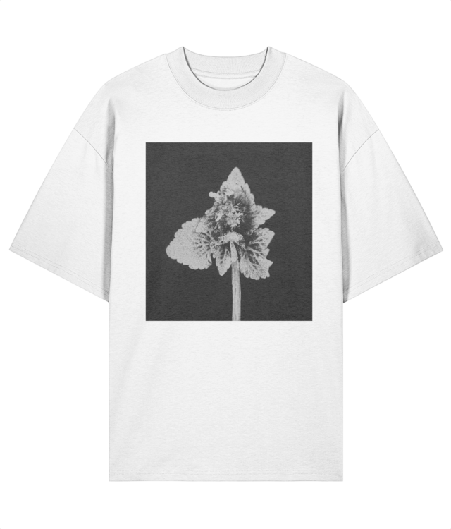 Impresii botanice | Lamium purpureum v5  Blaster 2.0 STTU959