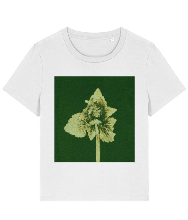 Impresii botanice | Lamium purpureum v3  Stella Muser STTW172