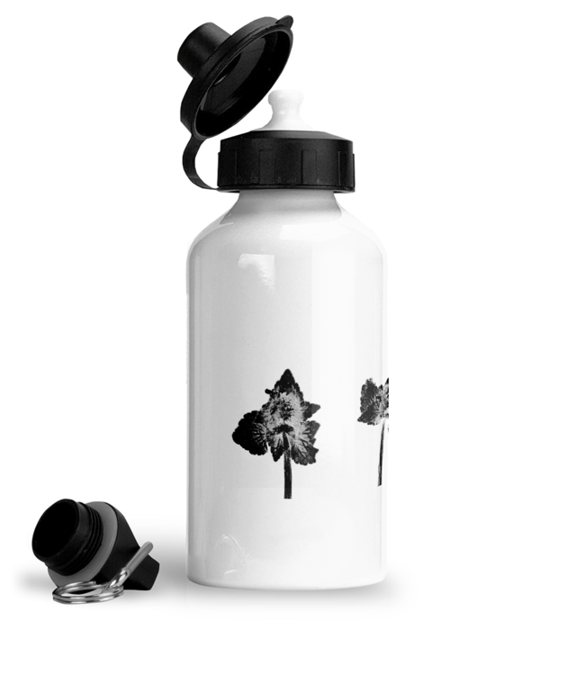 Impresii botanice | Lamium purpureum trio v2 Bidon Sport Din Aluminiu Cu Carabina