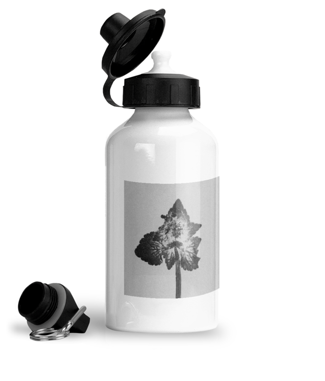 Lamium purpureum v4| Povești din grădină Bidon Sport Din Aluminiu Cu Carabina