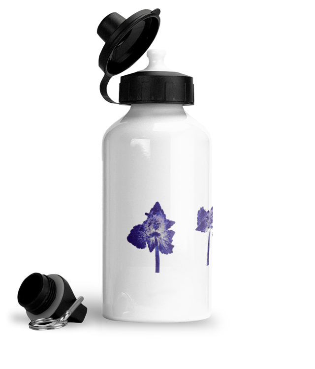 Impresii Botanice | Lamium purpureum trio v1 Bidon Sport Din Aluminiu Cu Carabina