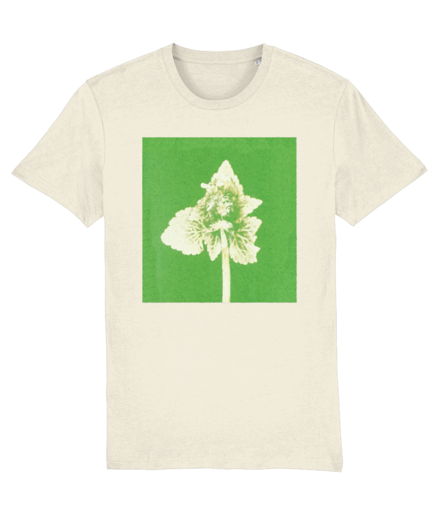 Lamium purpureum v2 | Povești din grădină Creator 2.0 STTU169