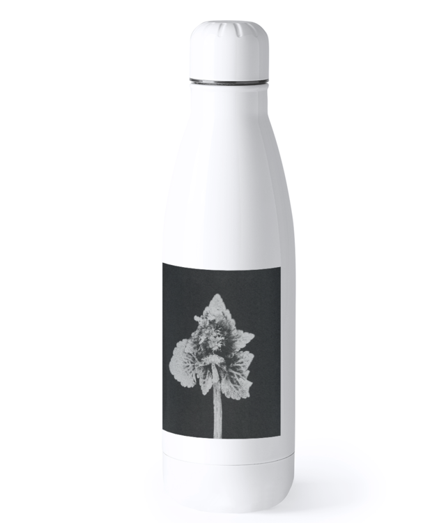 Impresii botanice | Lamium purpureum v5  Bidon Termic din Oțel Inoxidabil