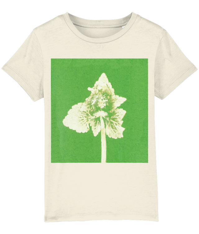 Lamium purpureum v2 | Povești din grădină Mini Creator 2.0