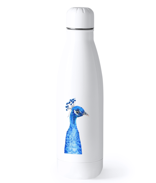 Paunul Vasile Bidon Termic din Oțel Inoxidabil