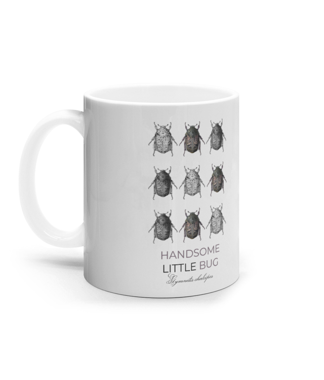 Lumea insectelor | Gymnetis chalcipes Cana Ceramica Alba