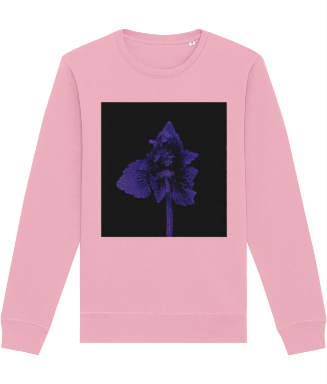 Impresii botanice | Lamium purpureum v1  Roller