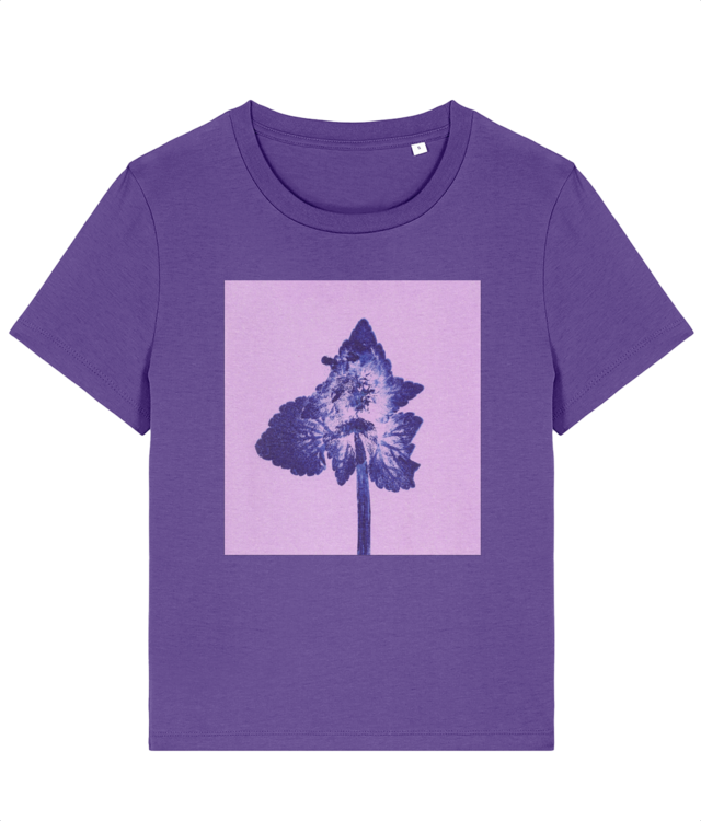 Impresii Botanice|Lamium purpureum v6 Stella Muser STTW172