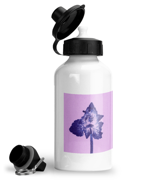 Impresii Botanice | Lamium purpureum v6 Bidon Sport Din Aluminiu Cu Carabina