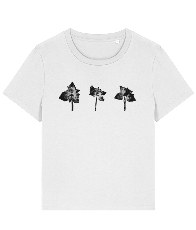 Impresii botanice | Lamium purpureum trio v2 Stella Muser STTW172