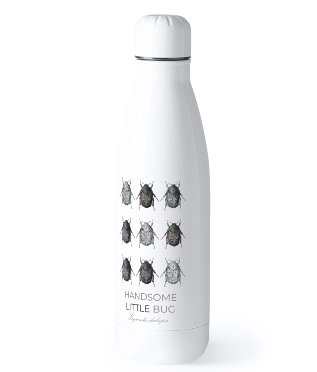 Lumea insectelor | Gymnetis chalcipes Bidon Termic din Oțel Inoxidabil