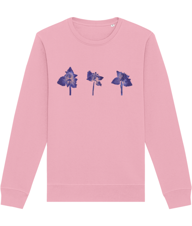 Impresii botanice | Lamium purpureum trio v1 Roller