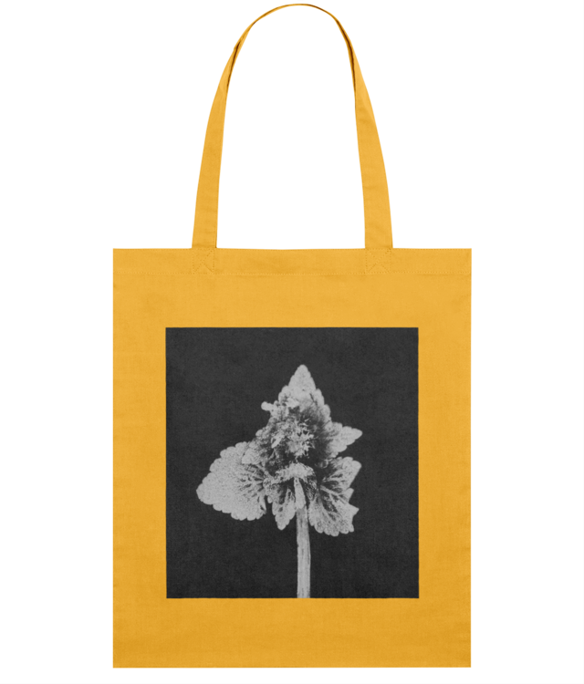Impresii botanice | Lamium purpureum v5  Light Tote Bag