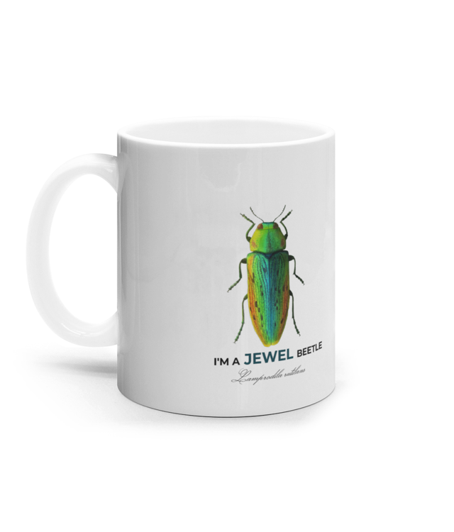 Micile bijuterii din tei – Lamprodila rutilans | Lumea insectelor Cana Ceramica Alba