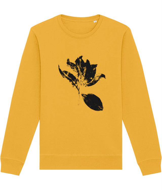 Impresii botanice | Tulipa Drama v2  Roller