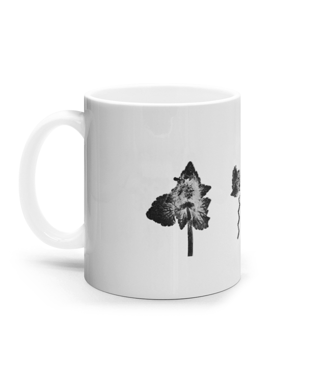 Impresii botanice | Lamium purpureum trio v2 Cana Ceramica Alba