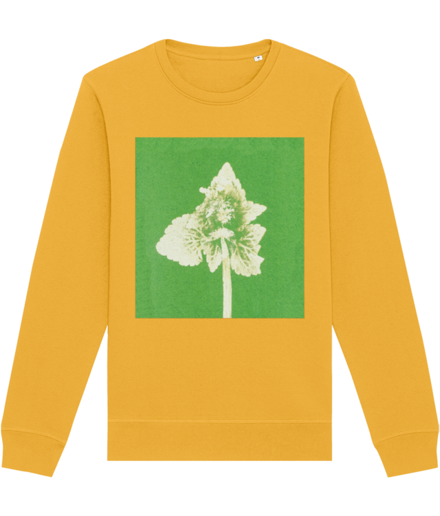 Impresii botanice | Lamium purpureum v2  Roller