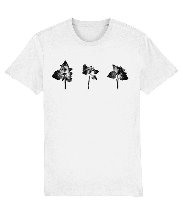 Impresii botanice | Lamium purpureum trio v2 Creator 2.0 STTU169