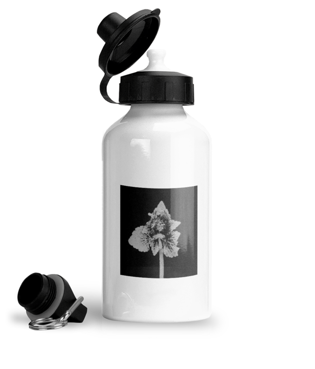 Impresii botanice | Lamium purpureum v5  Bidon Sport Din Aluminiu Cu Carabina