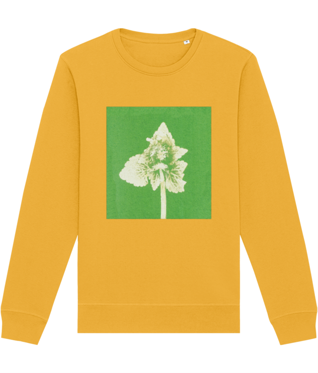 Impresii botanice | Lamium purpureum v2 Roller