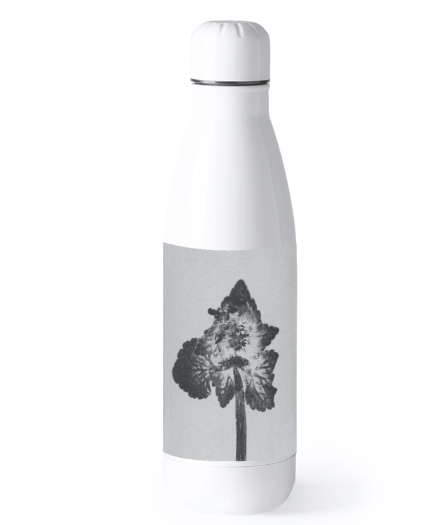 Impresii Botanice | Lamium purpureum v4 Bidon Termic din Oțel Inoxidabil