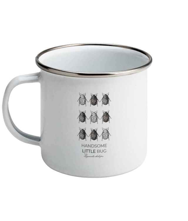 Lumea insectelor | Gymnetis chalcipes Cana Emailata