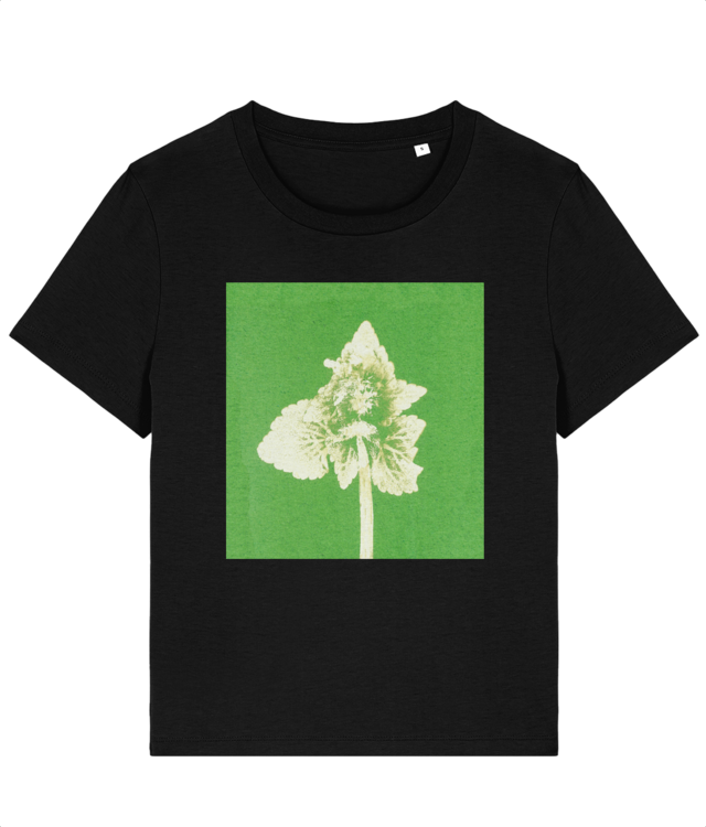 Impresii botanice | Lamium purpureum v2  Stella Muser STTW172