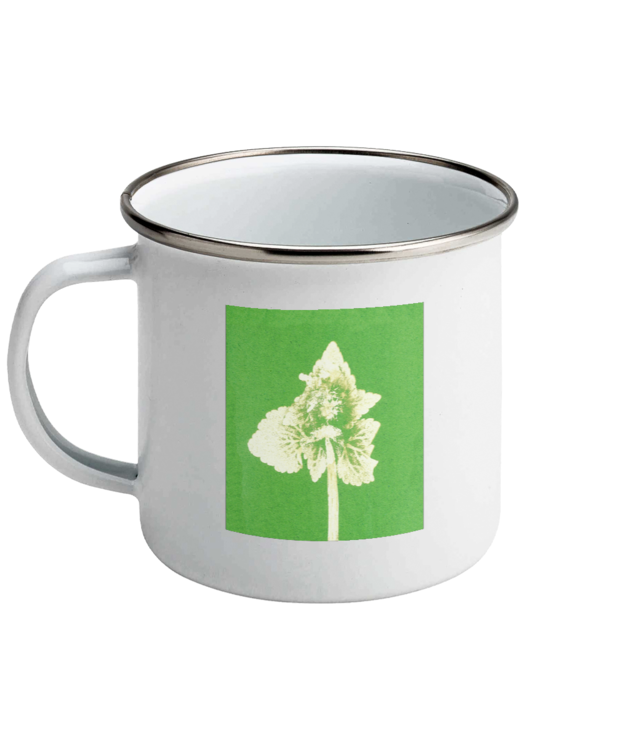 Lamium purpureum v2 | Povești din grădină Cana Emailata