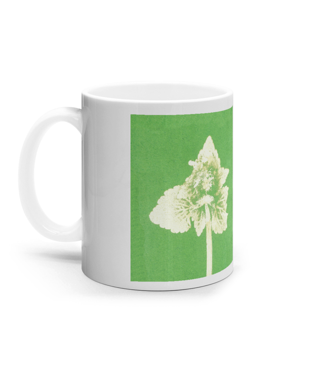 Impresii botanice | Lamium purpureum v2  Cana Ceramica Alba