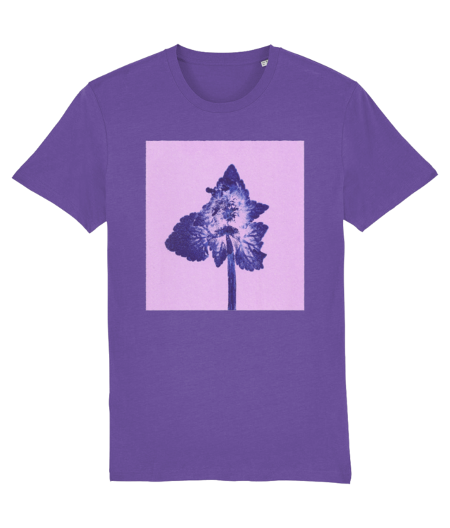 Impresii Botanice |Lamium purpureum Creator 2.0 STTU169