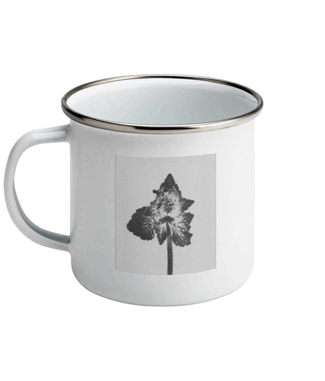 Lamium purpureum v4| Povești din grădină Cana Emailata