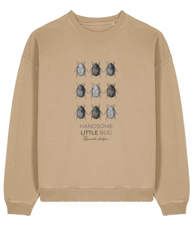 Lumea insectelor | Gymnetis chalcipes  Radder 2.0 Vintage