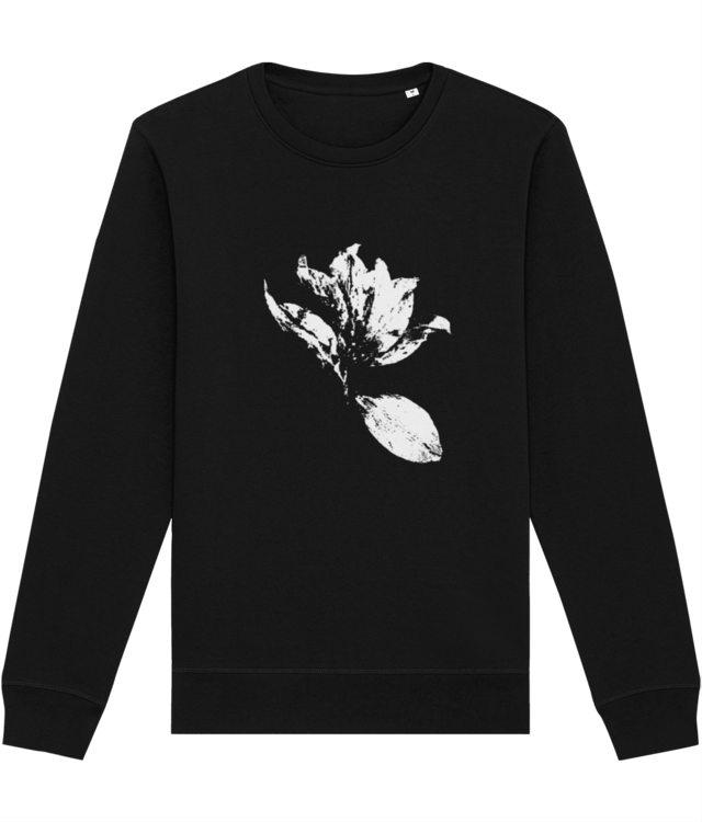 Impresii botanice | Tulipa Drama  v1  Roller