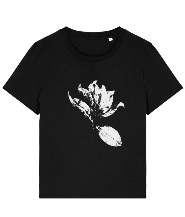 Impresii botanice | Tulipa Drama v1 Stella Muser STTW172