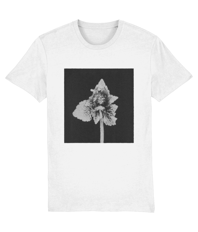 Impresii botanice | Lamium purpureum v5  Crafter