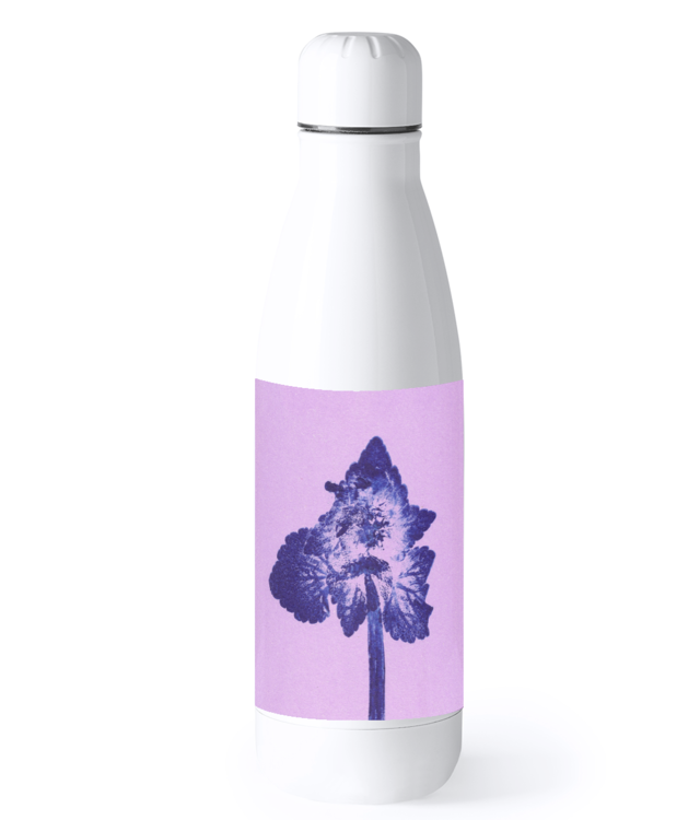 Lamium purpureum | Povești din grădină Bidon Termic din Oțel Inoxidabil