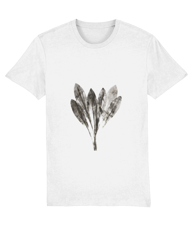 Impresii botanice | Planta ex horto Crafter