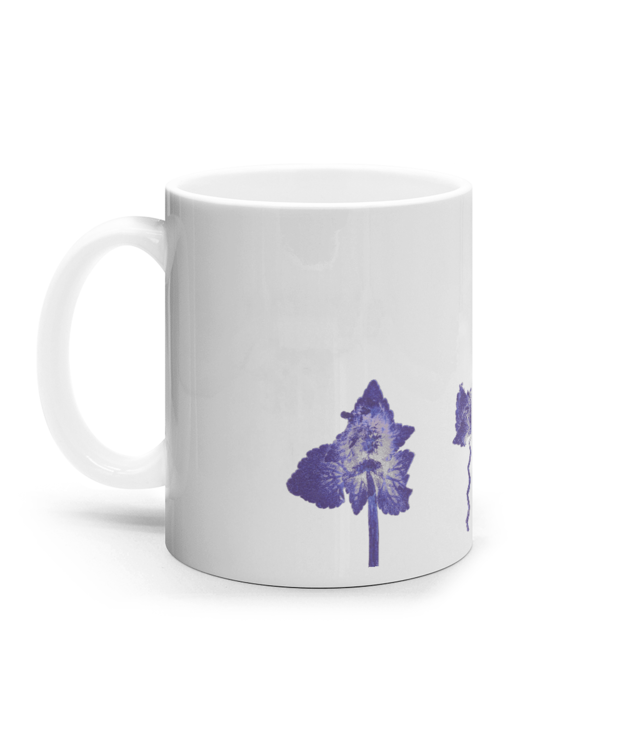Impresii Botanice | Lamium purpureum trio v1 Cana Ceramica Alba