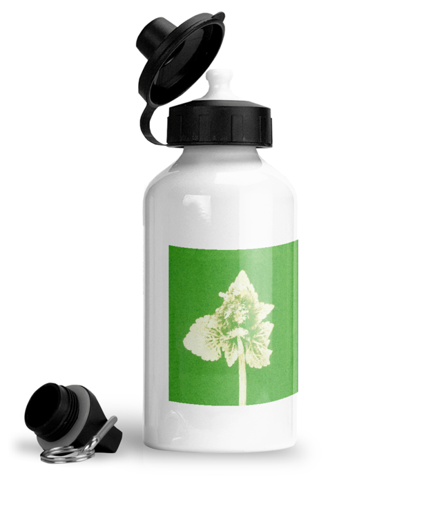 Lamium purpureum v2 | Povești din grădină Bidon Sport Din Aluminiu Cu Carabina