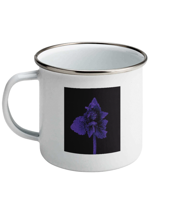 Impresii botanice | Lamium purpureum v1  Cana Emailata