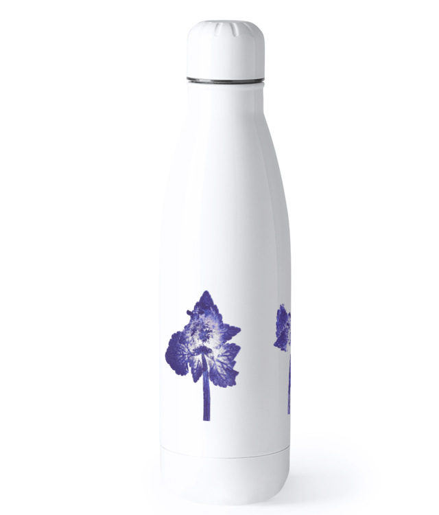 Impresii Botanice | Lamium purpureum trio v1 Bidon Termic din Oțel Inoxidabil