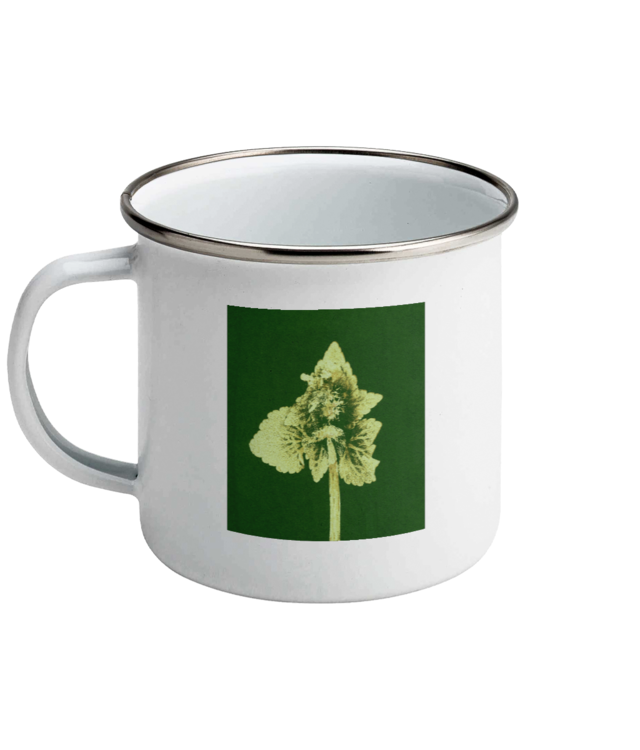 Impresii botanice | Lamium purpureum v3  Cana Emailata