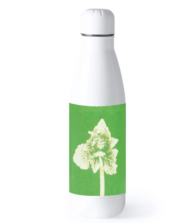 Impresii botanice | Lamium purpureum v2 Bidon Termic din Oțel Inoxidabil