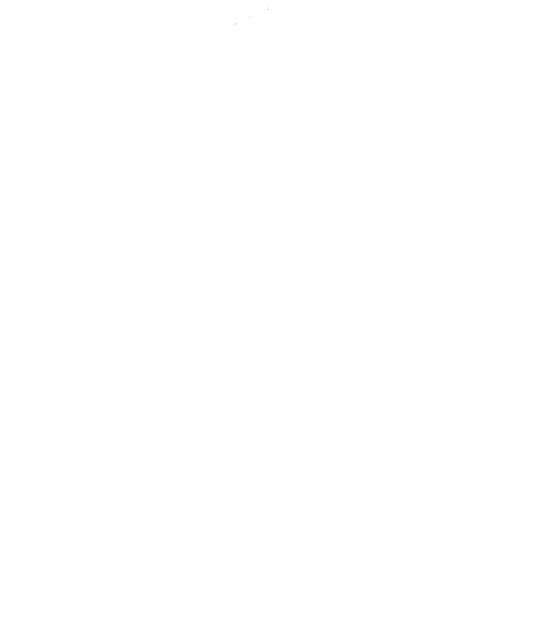 Impresii botanice | Tulipa Drama  v1 