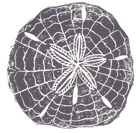 Vreau la mare! | Lucky Sand Dollar